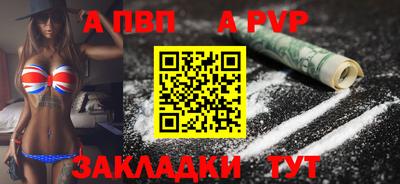 тгк Кингисепп