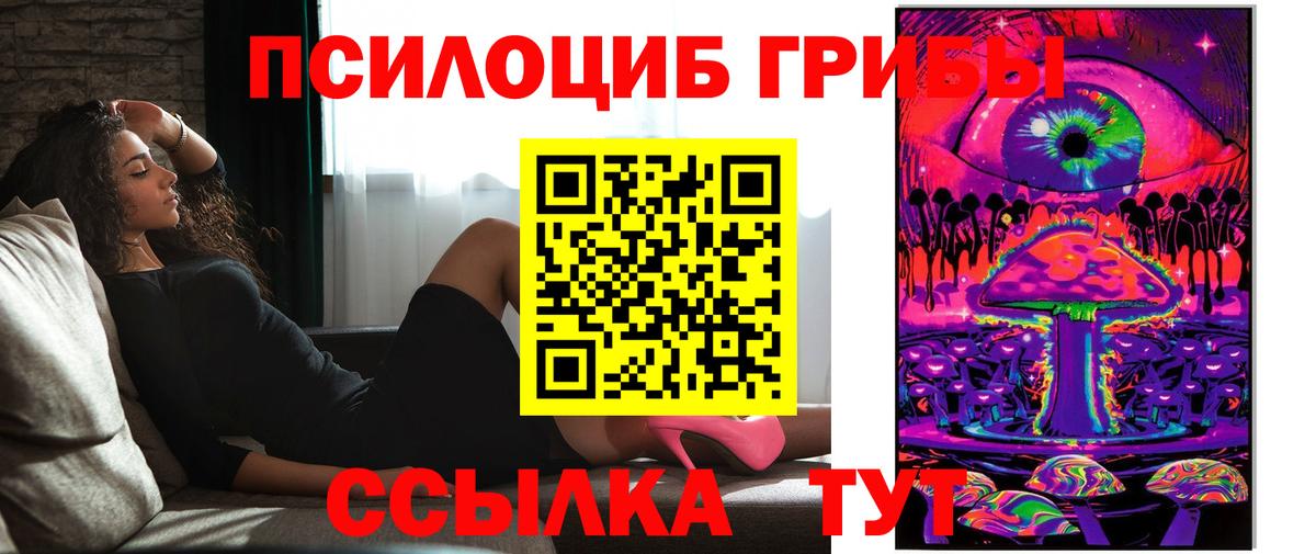 Глазов  Псилоцибиновые грибы Cubensis  Вход с VPN 